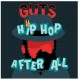 Hip Hop After All (2LP)