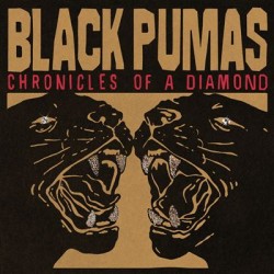 Chronicles Of A Diamond (LP) transparent red