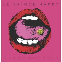 A Long Way Down (LP)Le Prince