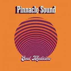 Pinnacle Sound : Soul Medicine (LP)