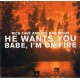 He Wants You / Babe, I'm On Fire (10')