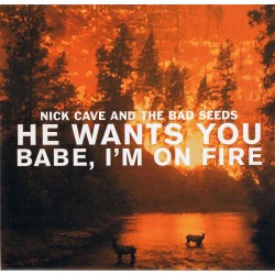 He Wants You / Babe, I'm On Fire (10')