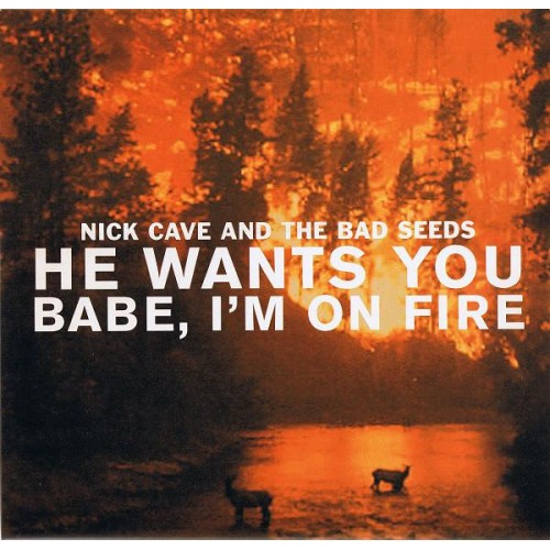 He Wants You / Babe, I'm On Fire (10')