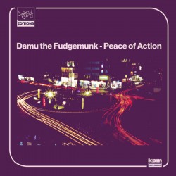 Peace Of Action ‎(LP)