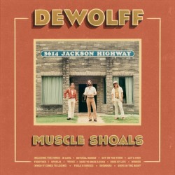 Muscle Shoals (2LP)