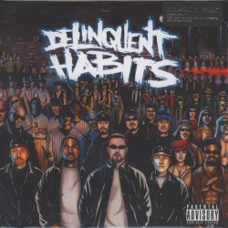 Delinquent Habits (2LP)