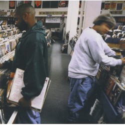 Endtroducing (2LP)